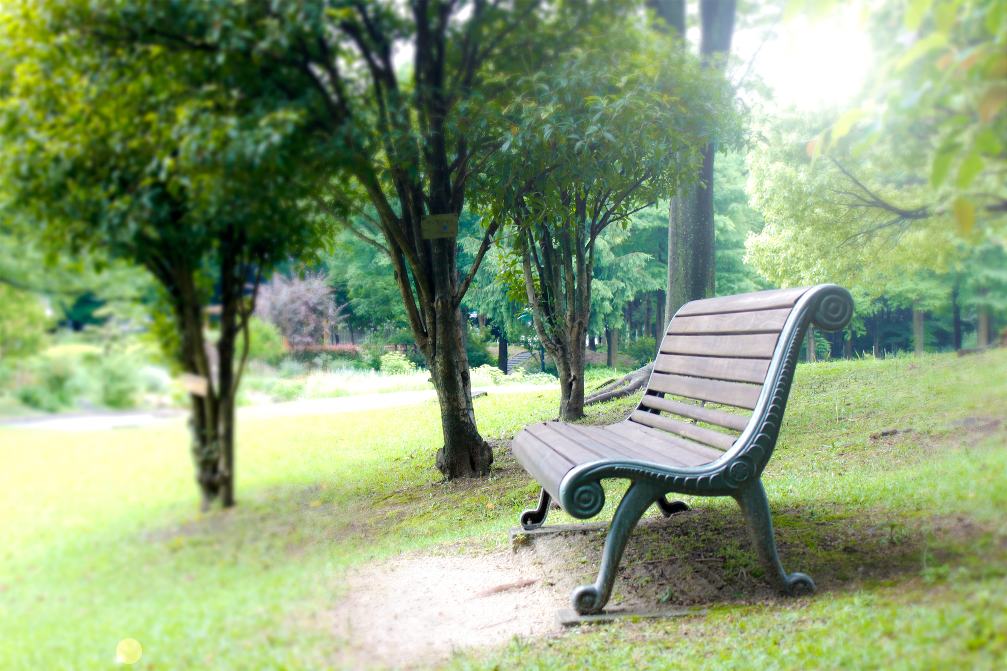 公園のベンチ 1 フリー 無料 写真素材 ダウンロード Blue Green