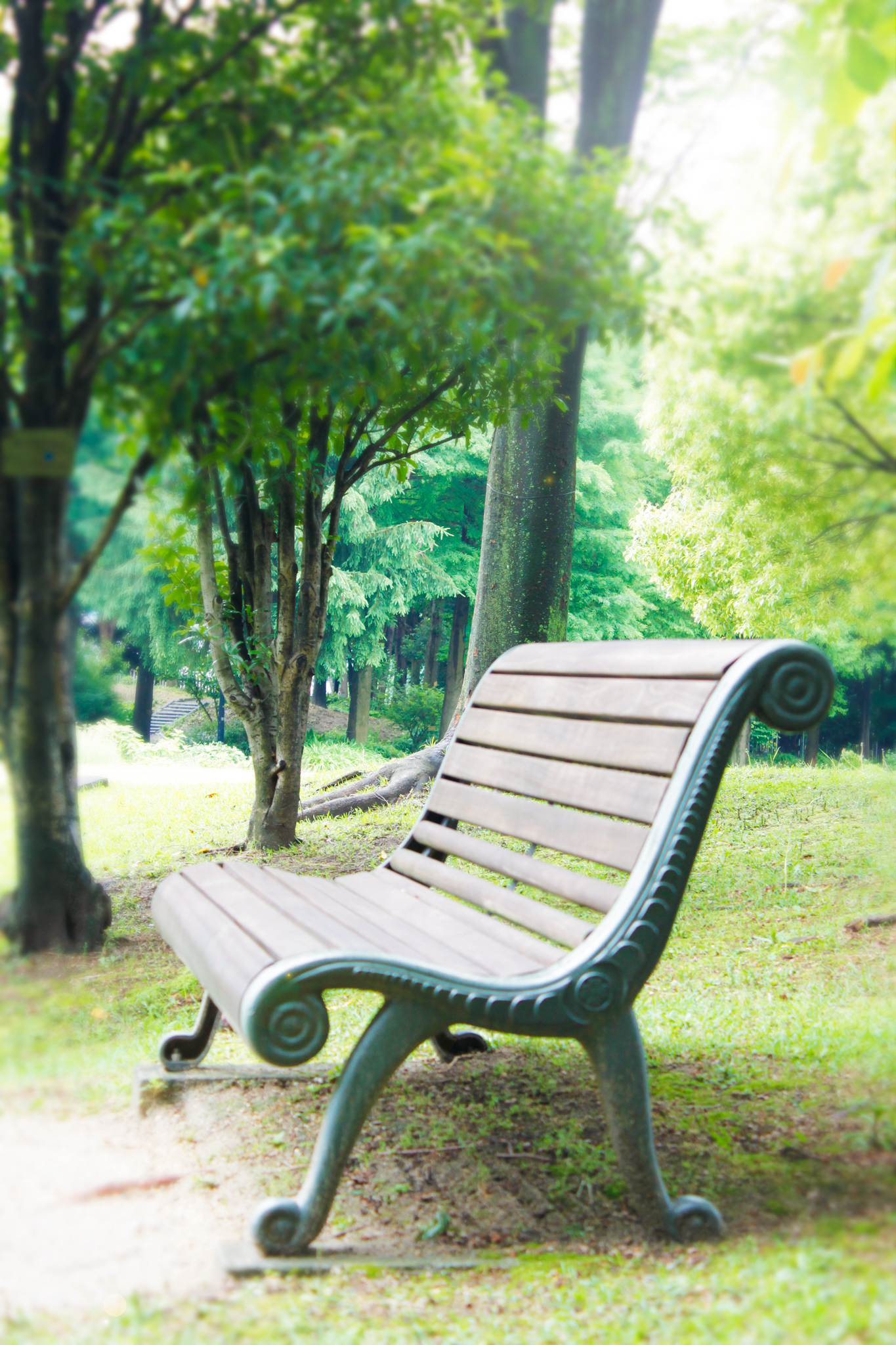 公園のベンチ 2 フリー 無料 写真素材 ダウンロード Blue Green