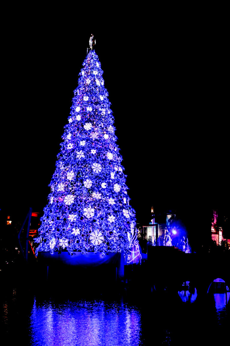 巨大クリスマスツリーのイルミネーション