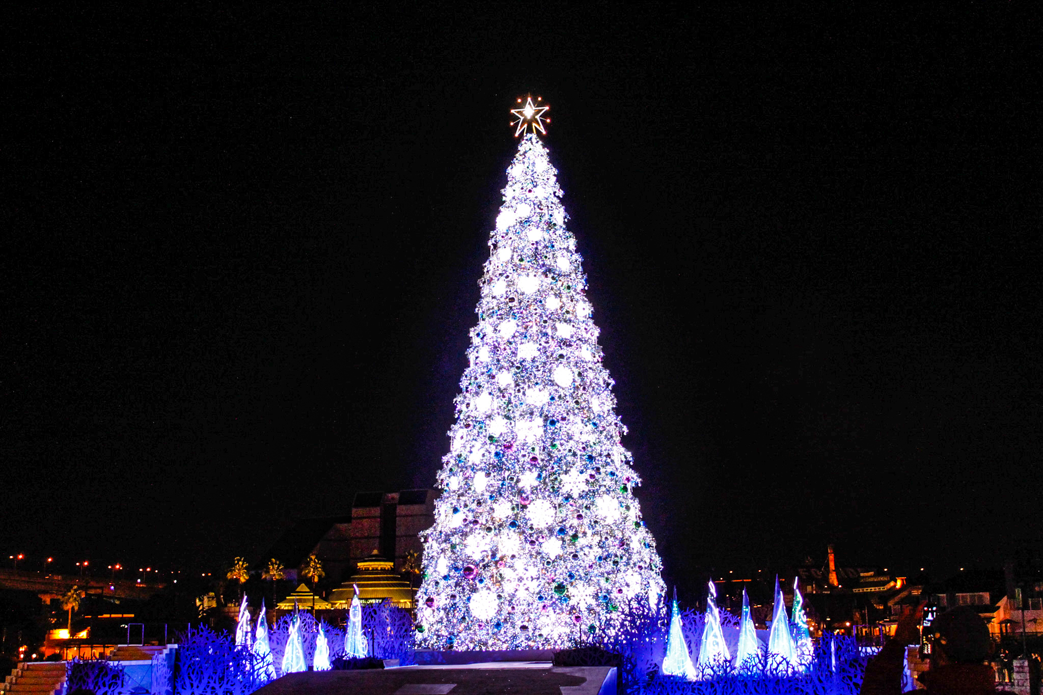 巨大クリスマスツリーのイルミネーション 3 フリー 無料 写真素材 ダウンロード Blue Green