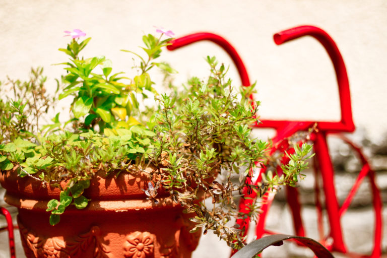 赤い自転車と植木鉢