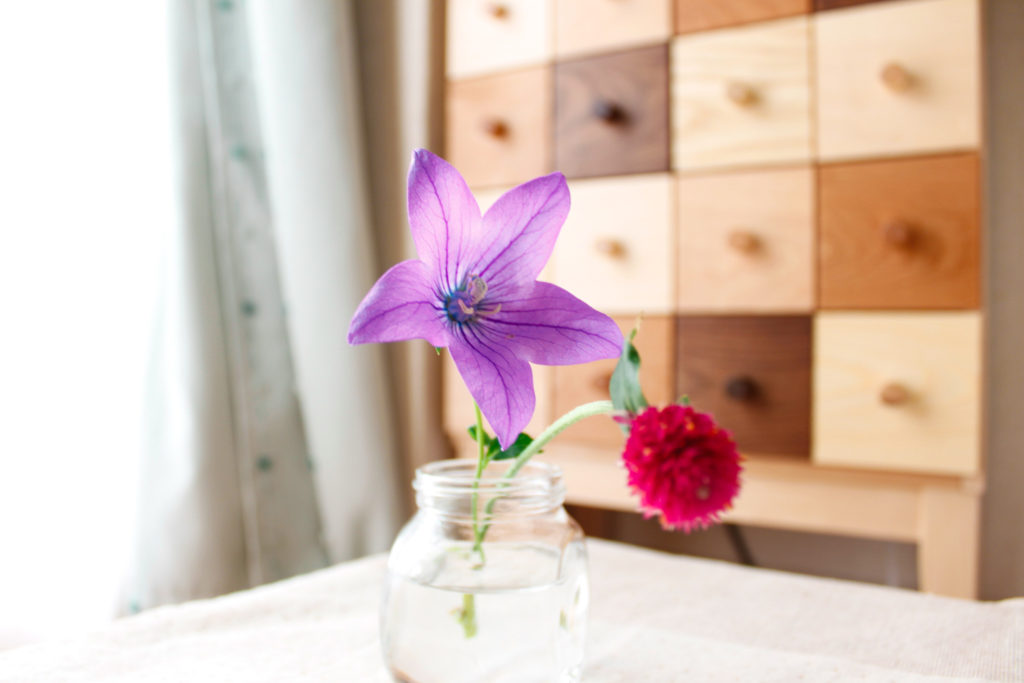 小さな花瓶の桔梗とパッションピンクの花
