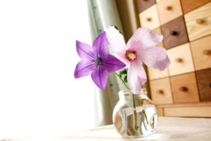 小さな花瓶の桔梗と薄ピンクの花
