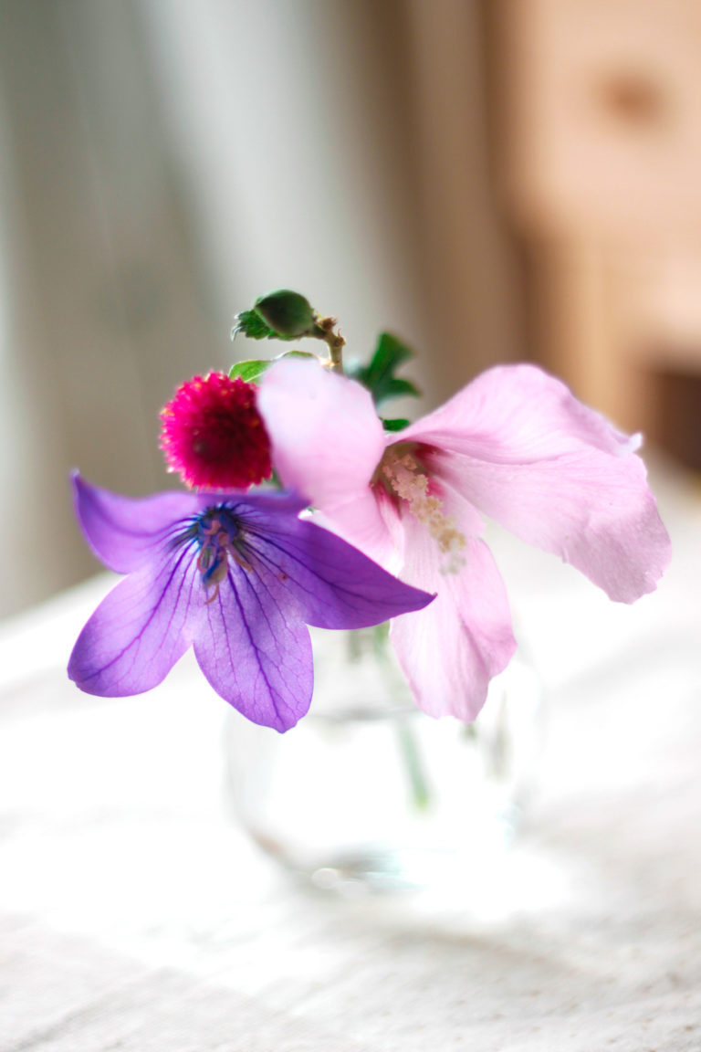 小さな花瓶の桔梗と薄ピンクの花