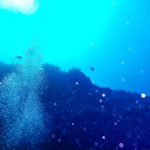 沖縄石垣島　海中の泡と魚