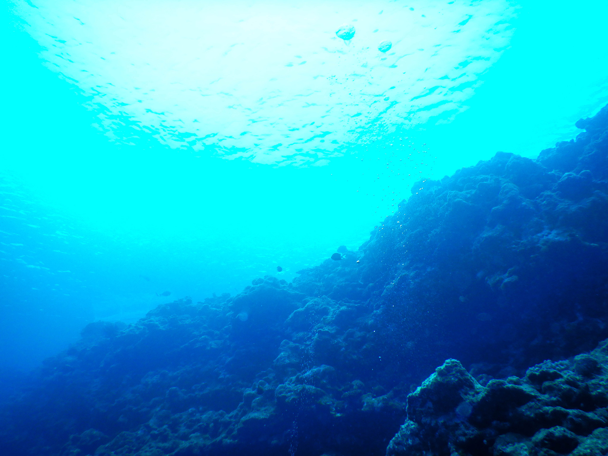 沖縄石垣島 光が差し込む海中 フリー 無料 写真素材 ダウンロード Blue Green