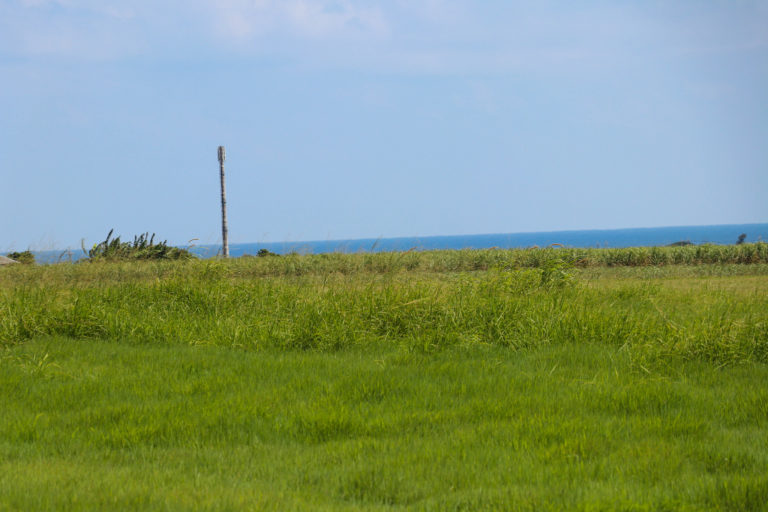 沖縄　石垣島の草原と空
