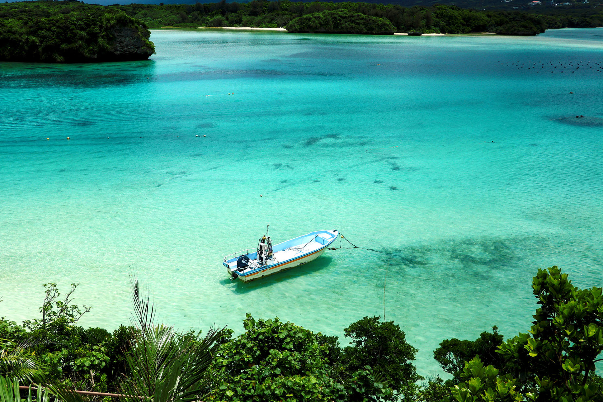 海中の泡 フリー 無料 写真素材 ダウンロード Blue Green