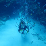 沖縄の海で魚に囲まれるダイビング