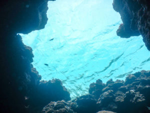 沖縄慶良間諸島のダイビング