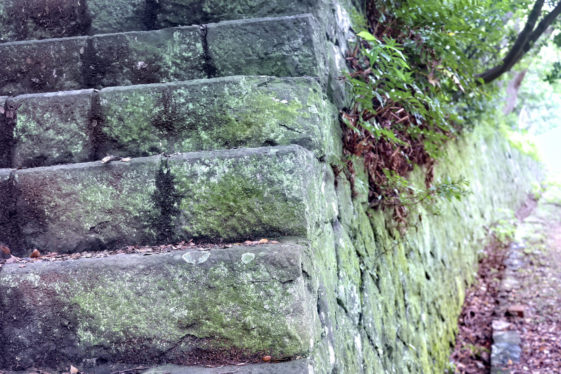 友が島の苔むした石の階段