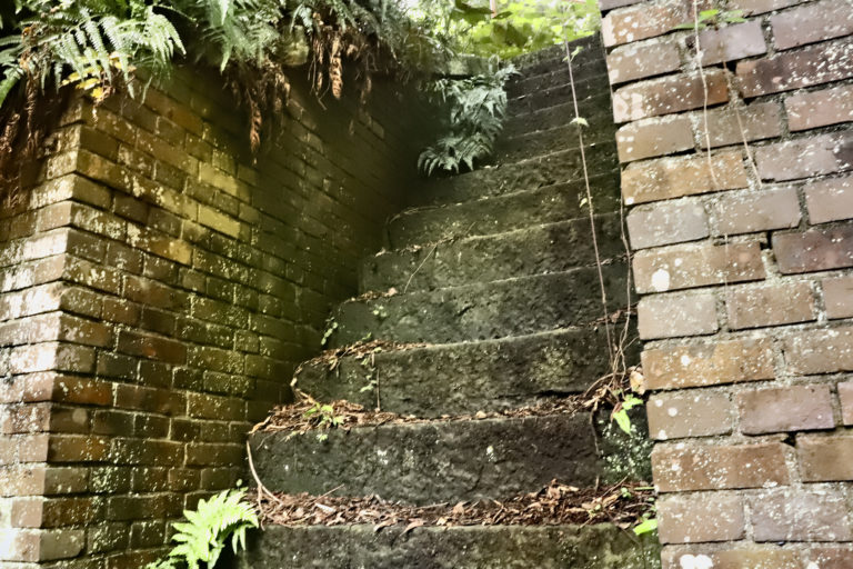 友が島　草木が生い茂る石段