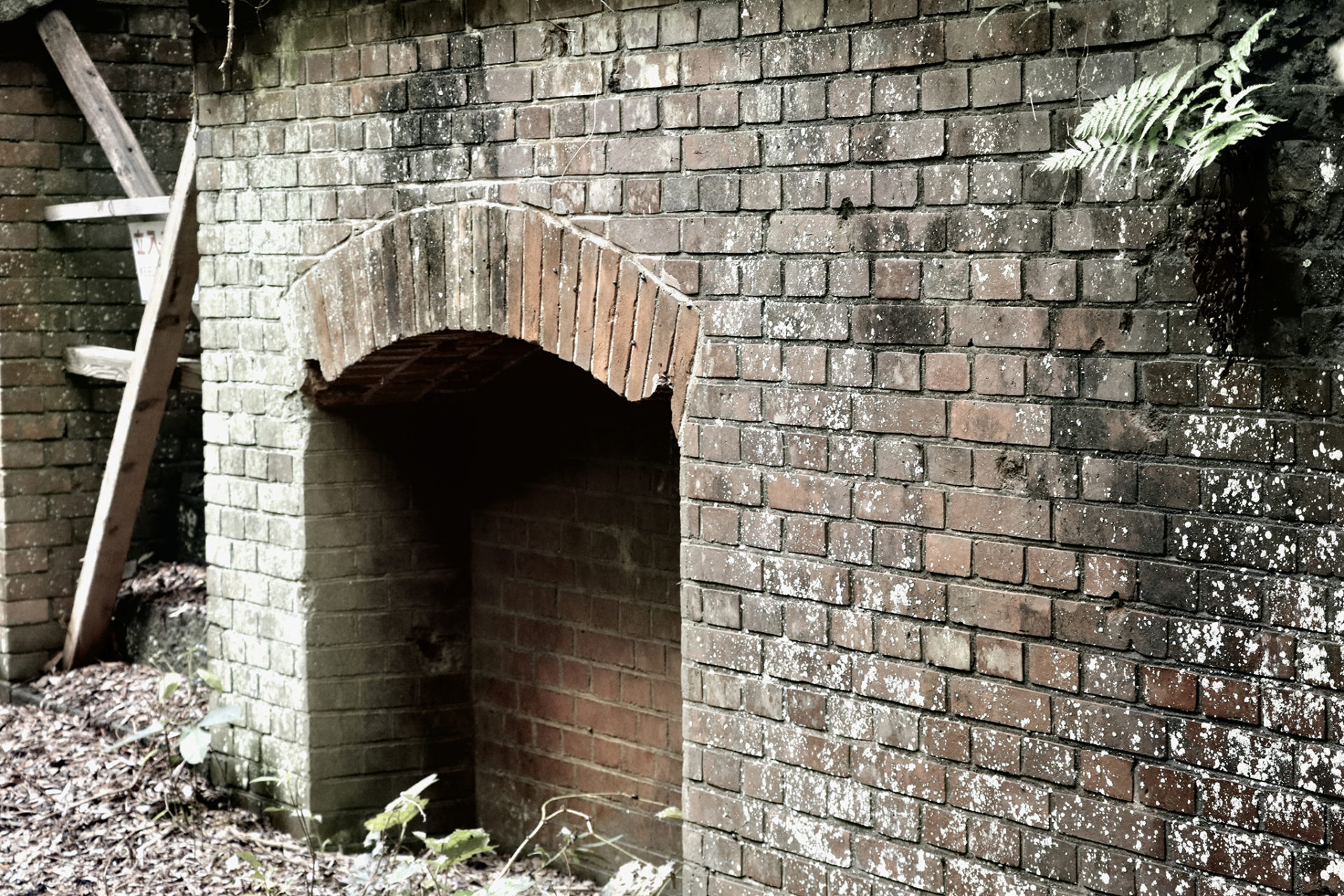 廃墟感が漂う友が島
