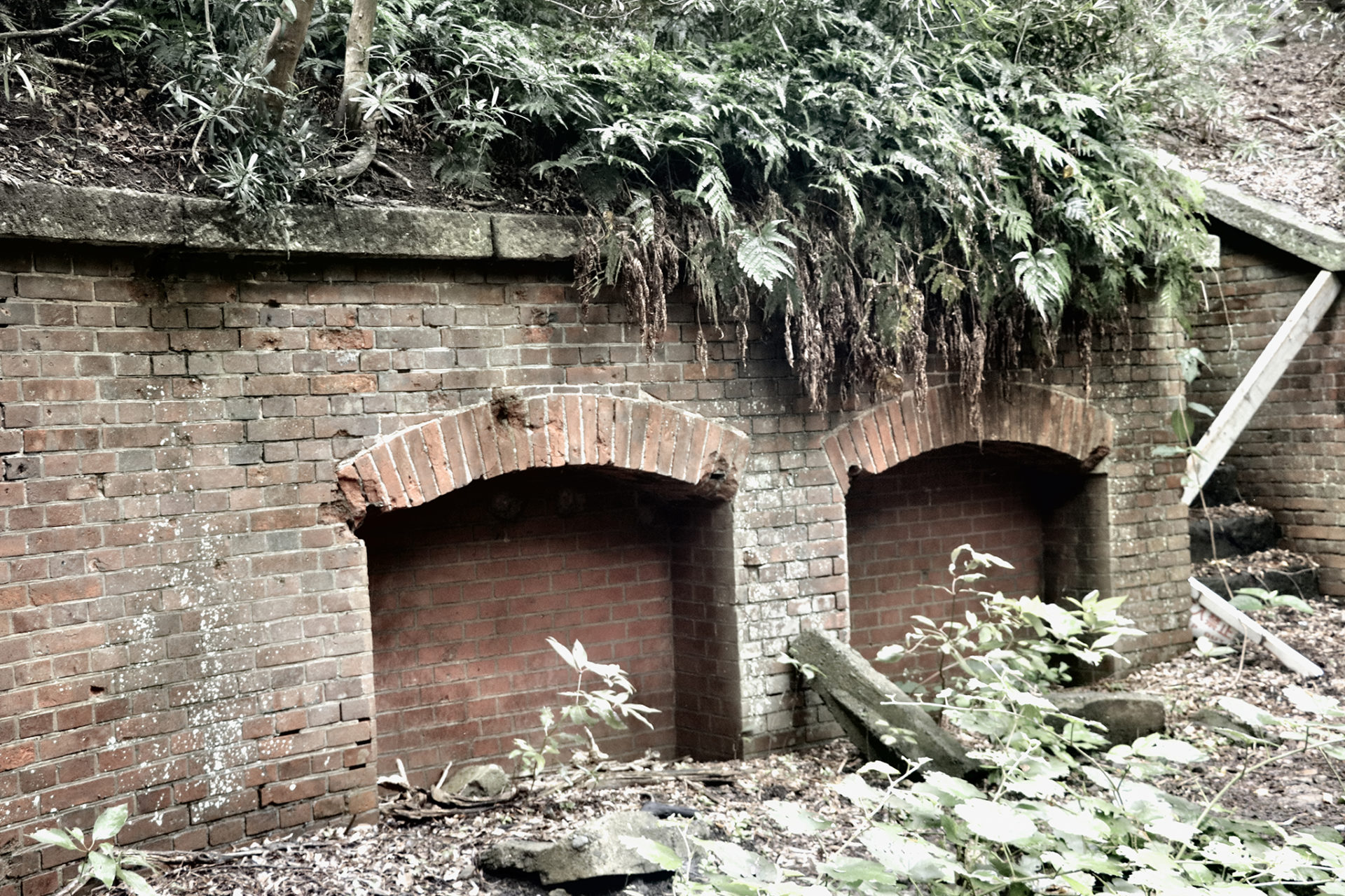草木が生い茂り朽ち果てた感の友が島