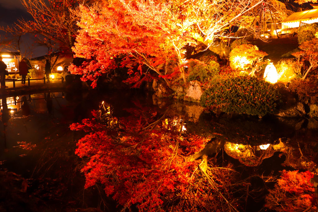 清水寺　水面に映る紅葉
