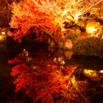 清水寺　水面に映る紅葉