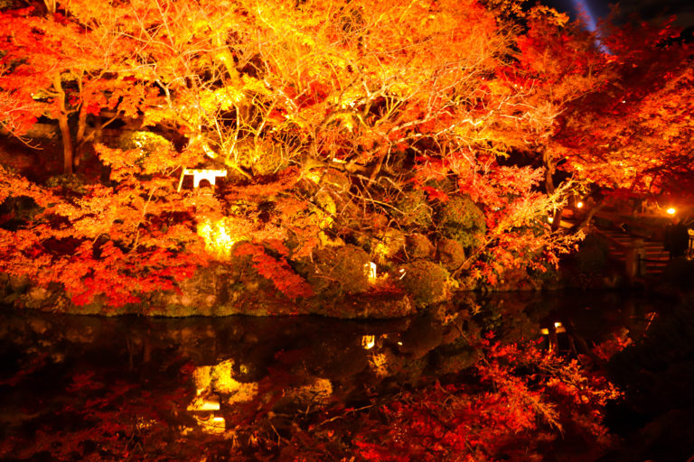 水面に反射する清水寺の鮮やかな紅葉