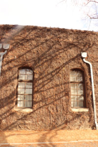 倉敷美観地区　アイビースクエア　冬の日差しと窓