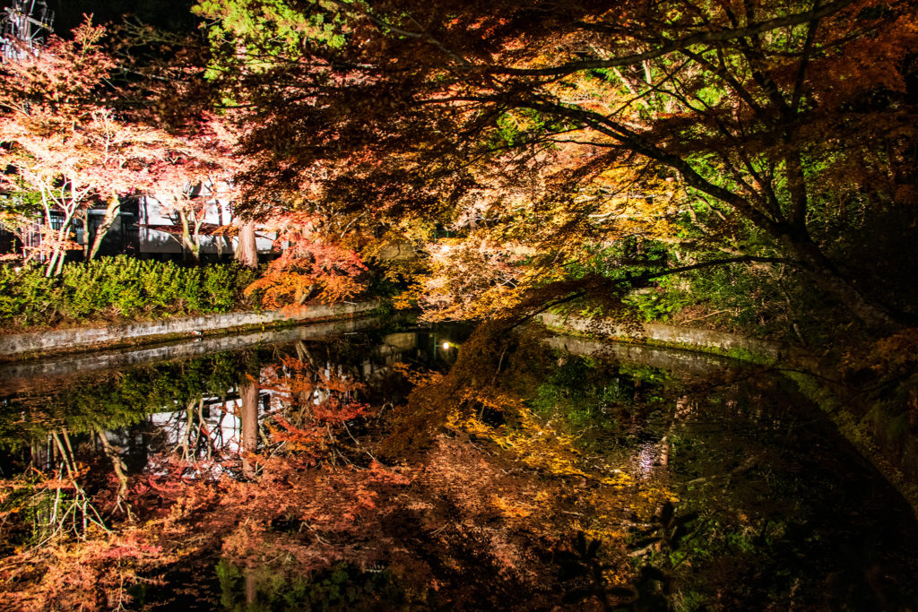 清水寺の池に映る紅葉
