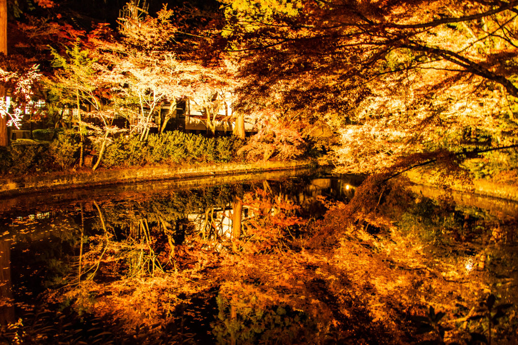 清水寺　池に反射するきれいな紅葉