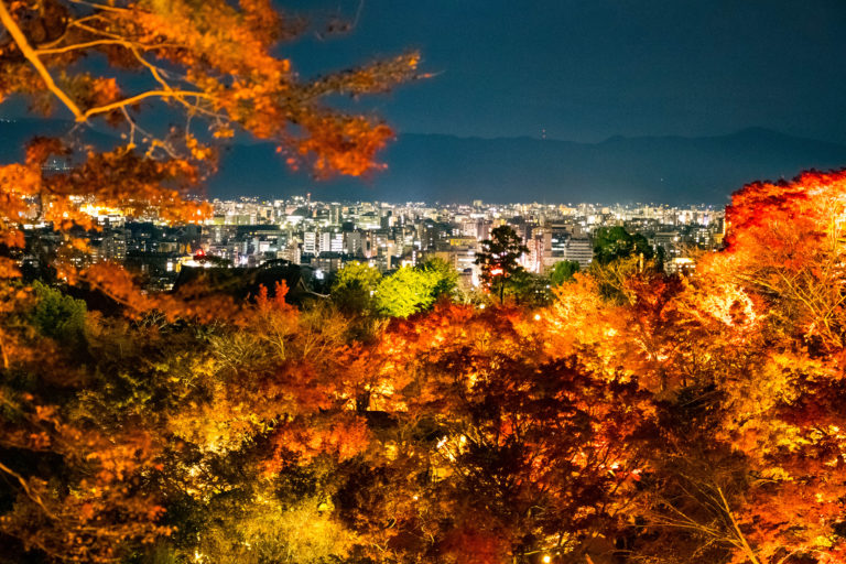清水寺から京都の街を望む