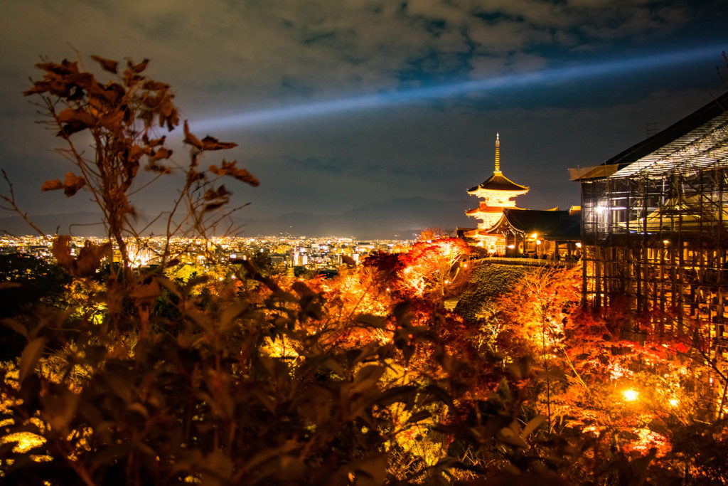 紅葉と京都清水寺 三重塔のライトアップ