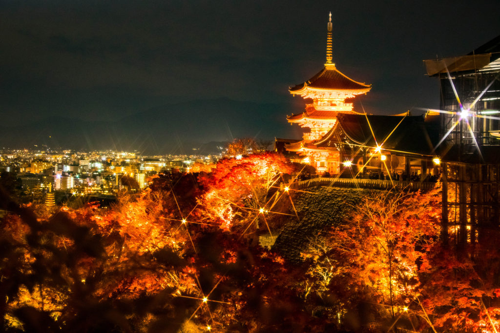 ライトアップされたもみじと京都清水寺三重塔