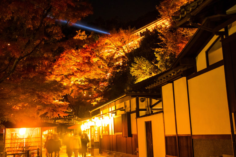 京都清水寺紅葉ライトアップ